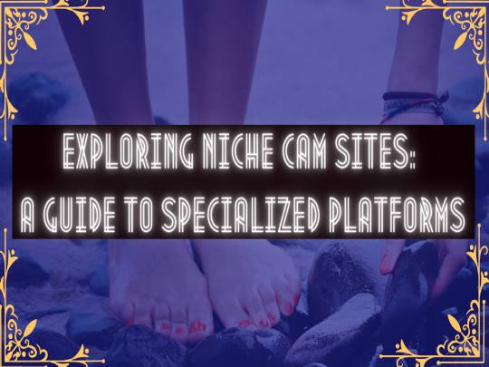 Exploring Niche Cam Sites: A Guide to Specialized Platforms